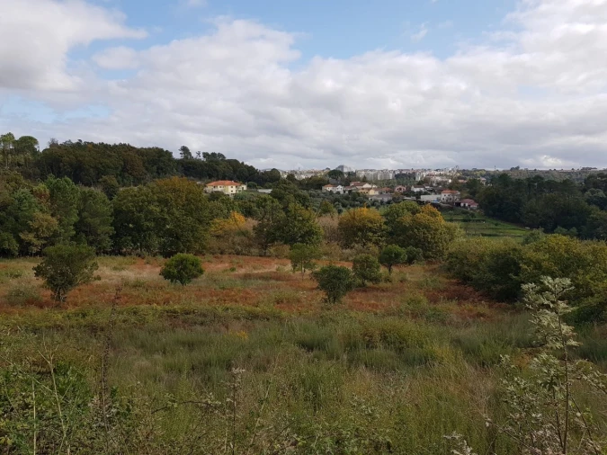 Quinta para Venda em Orgens Foto 3