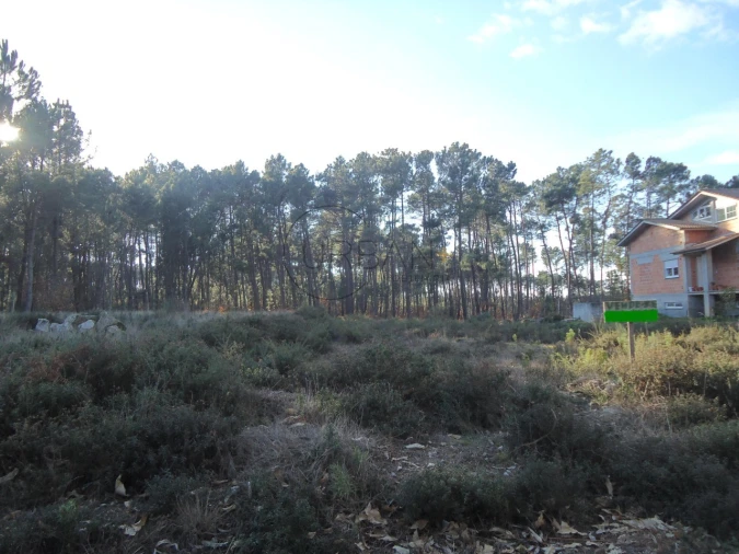 Terreno para Venda em Lordosa Foto 4