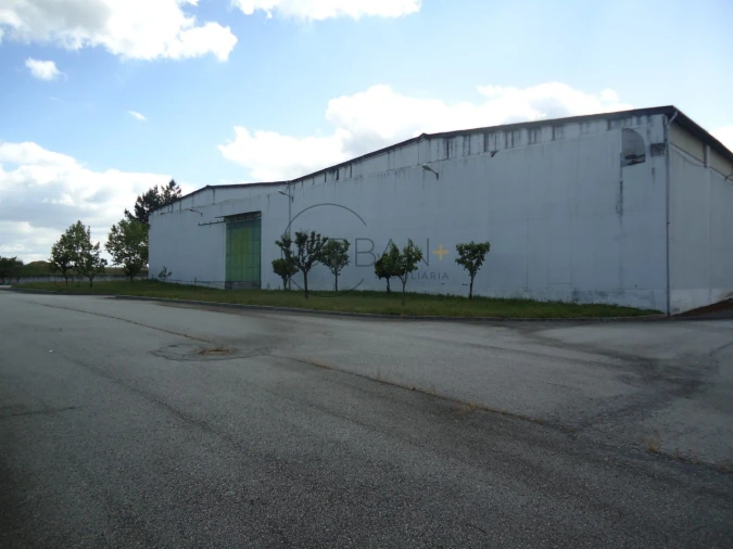 Armazém para Venda em Fragosela Foto 5