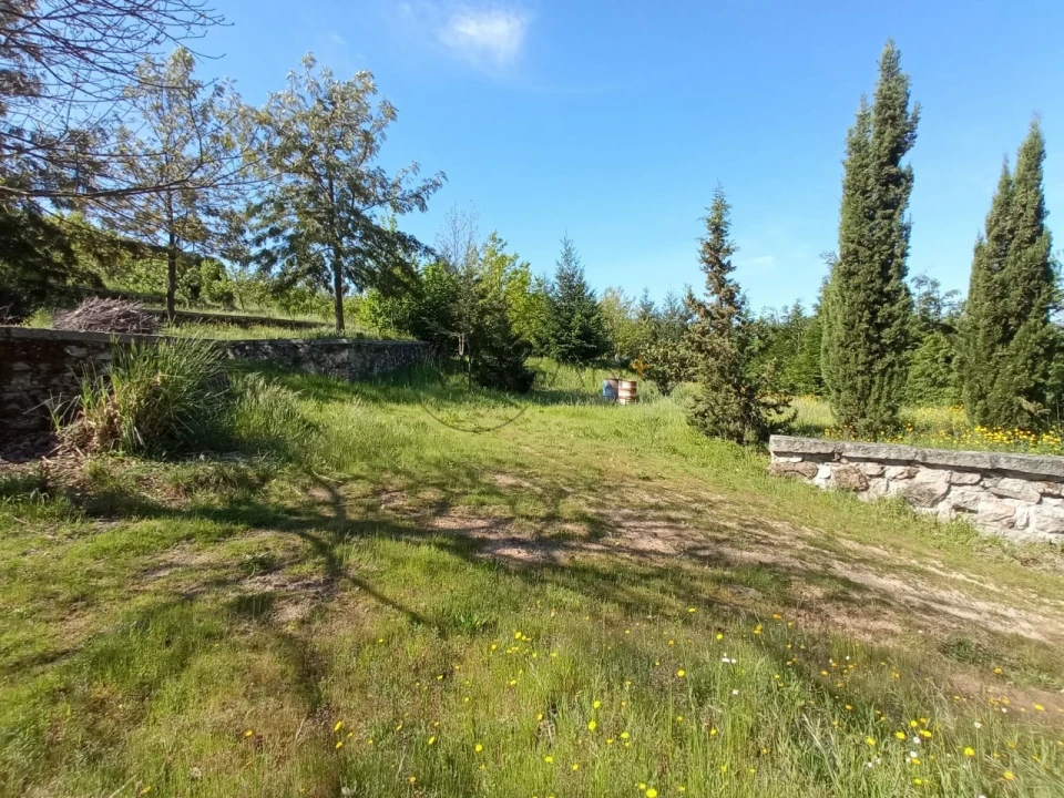 Quinta para Venda em Fornos de Maceira Dão Foto 2