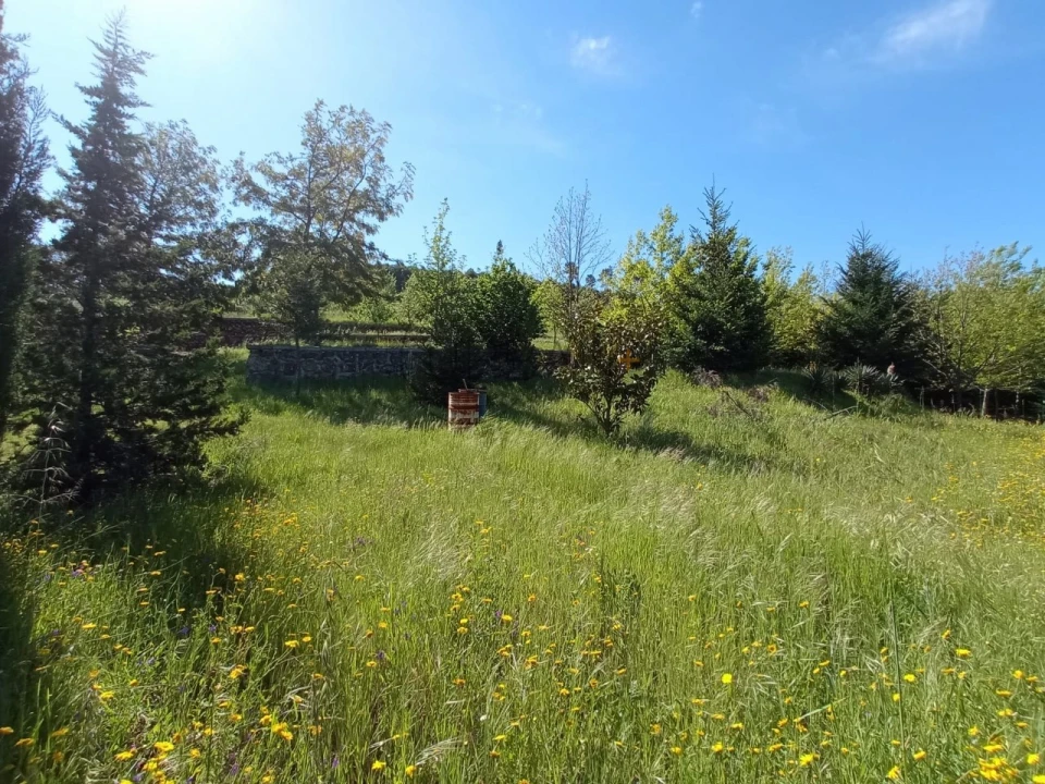 Quinta para Venda em Fornos de Maceira Dão Foto 3