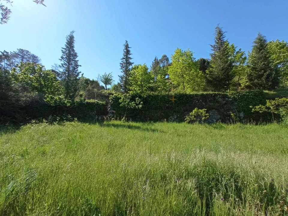 Quinta para Venda em Fornos de Maceira Dão Foto 6
