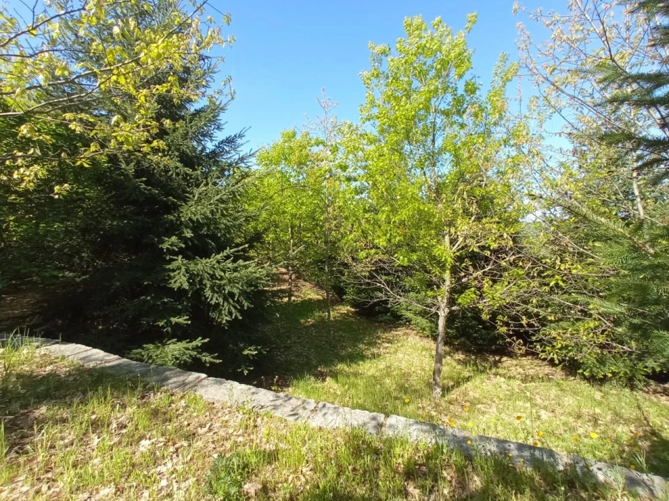Quinta para Venda em Fornos de Maceira Dão Foto 11