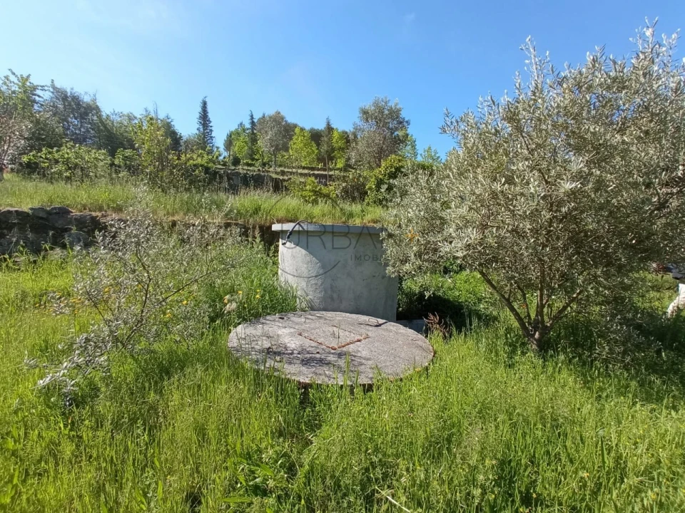 Quinta para Venda em Fornos de Maceira Dão Foto 15