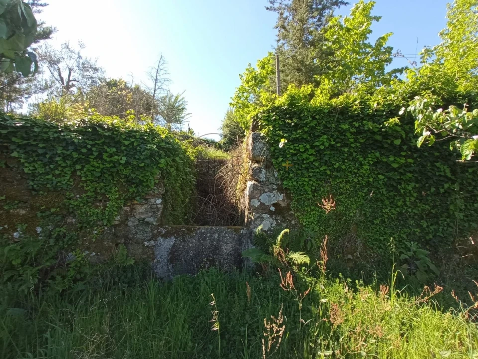 Quinta para Venda em Fornos de Maceira Dão Foto 22