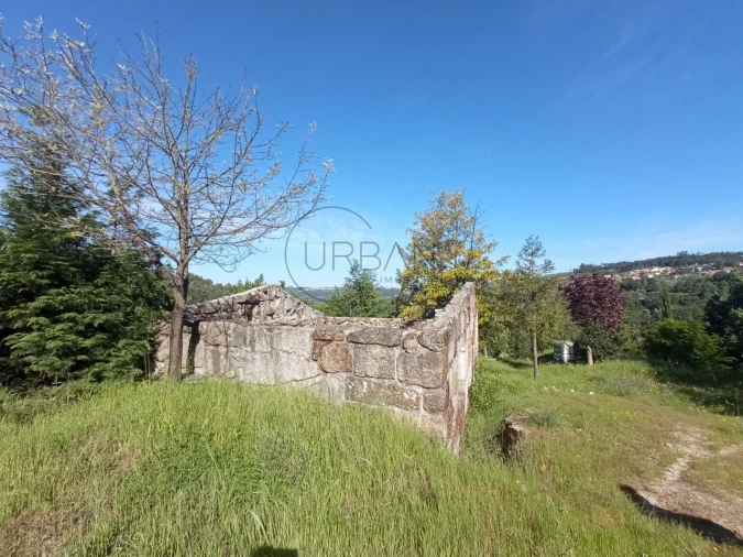 Quinta para Venda em Fornos de Maceira Dão Foto 4