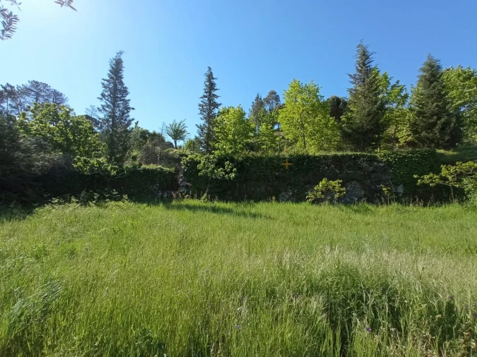 Quinta para Venda em Fornos de Maceira Dão Foto 6
