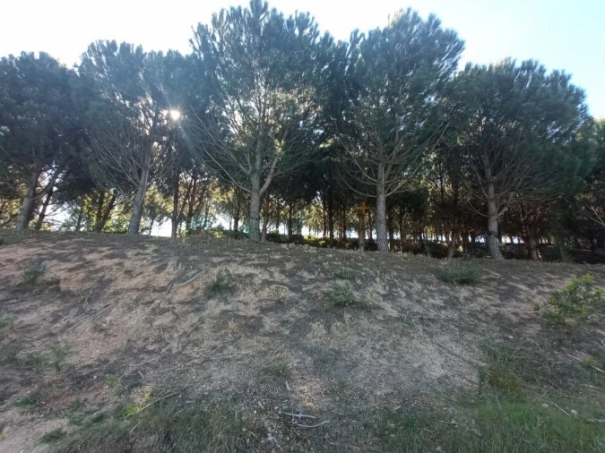 Quinta para Venda em Fornos de Maceira Dão Foto 12