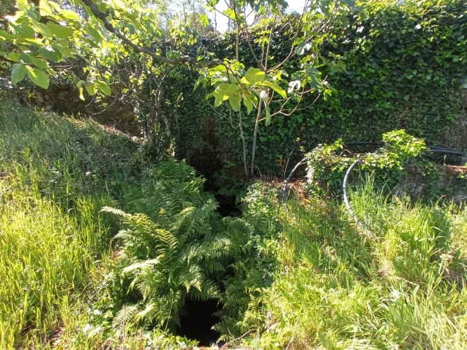 Quinta para Venda em Fornos de Maceira Dão Foto 14