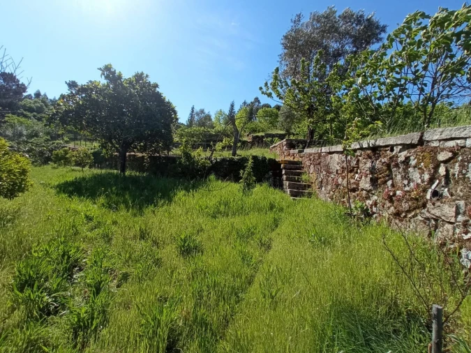Quinta para Venda em Fornos de Maceira Dão Foto 16