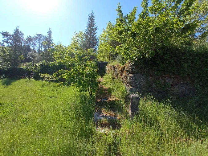 Quinta para Venda em Fornos de Maceira Dão Foto 21