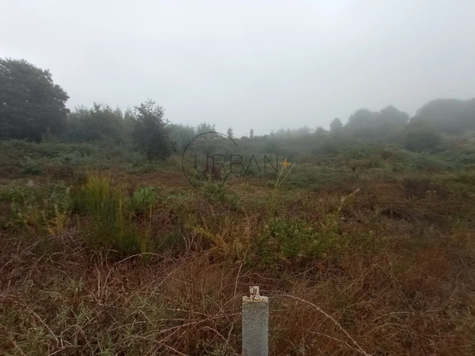 Terreno para Venda em Abraveses Foto 4