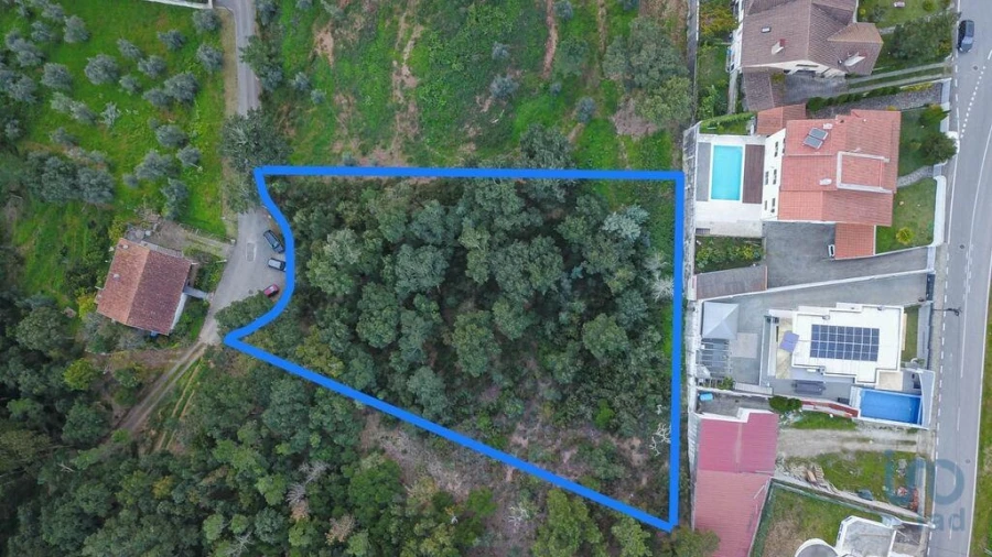 Terreno para Venda em Ceira Foto 9