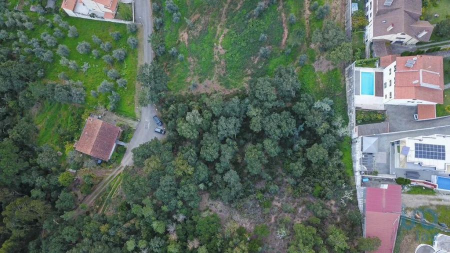 Terreno para Venda em Ceira Foto 12