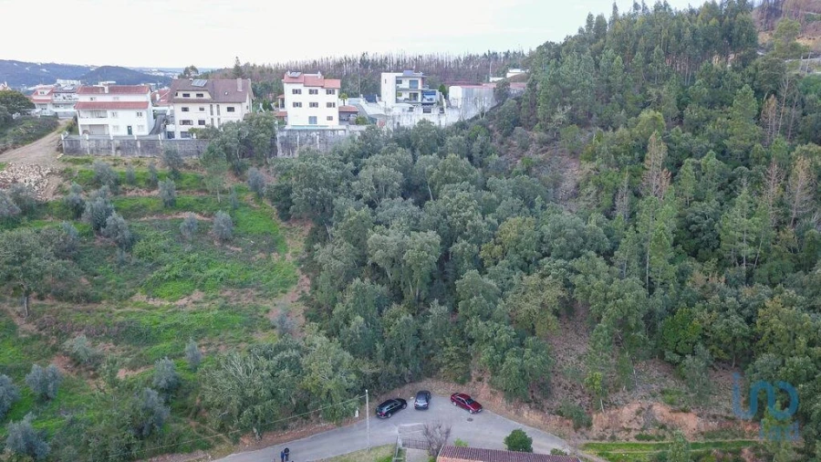 Terreno para Venda em Ceira Foto 11
