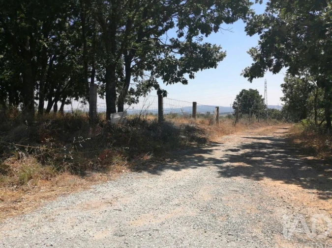 Terreno para Venda em Sabugal e Aldeia de Santo António Foto 19