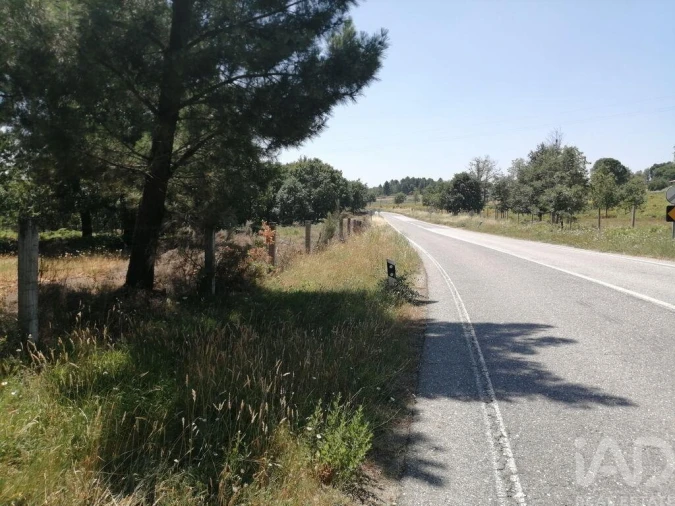 Terreno para Venda em Sabugal e Aldeia de Santo António Foto 23