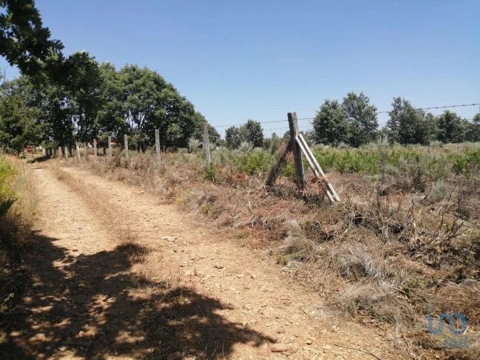 Terreno para Venda em Sabugal e Aldeia de Santo António Foto 3
