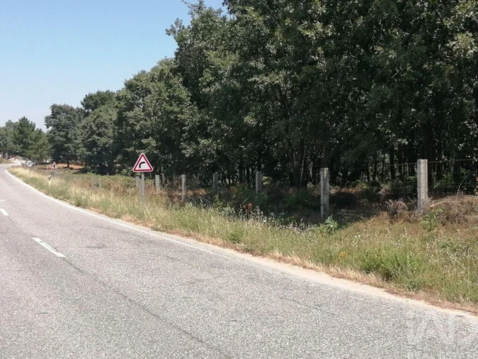 Terreno para Venda em Sabugal e Aldeia de Santo António Foto 20