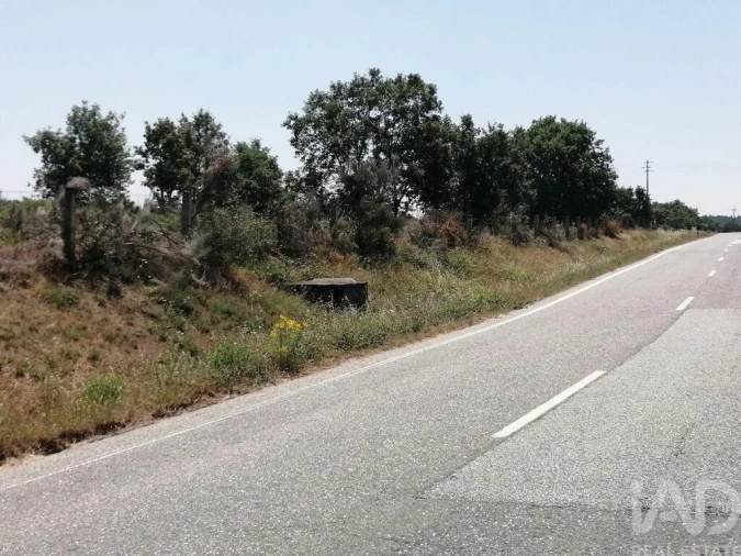 Terreno para Venda em Sabugal e Aldeia de Santo António Foto 24