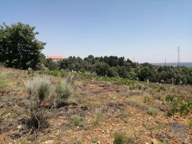 Terreno para Venda em Sabugal e Aldeia de Santo António Foto 10