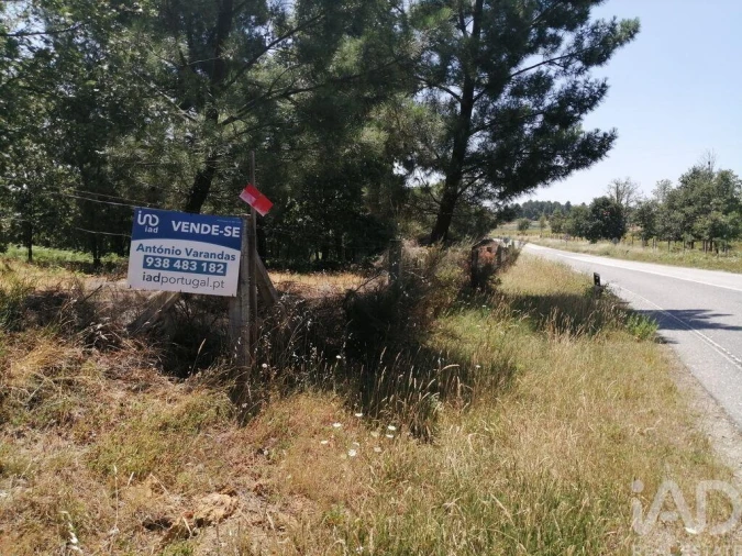 Terreno para Venda em Sabugal e Aldeia de Santo António Foto 21