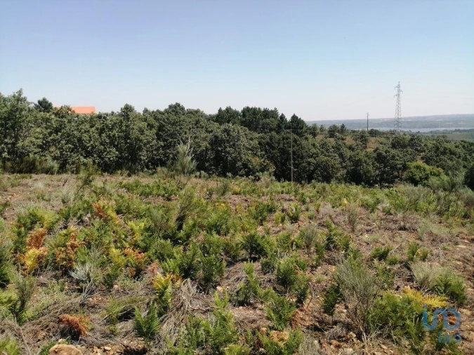 Terreno para Venda em Sabugal e Aldeia de Santo António Foto 11