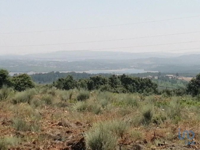 Terreno para Venda em Sabugal e Aldeia de Santo António Foto 7