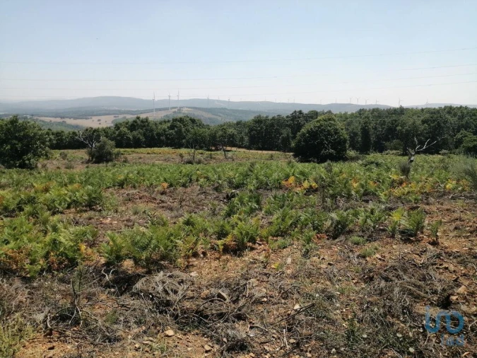 Terreno para Venda em Sabugal e Aldeia de Santo António Foto 8