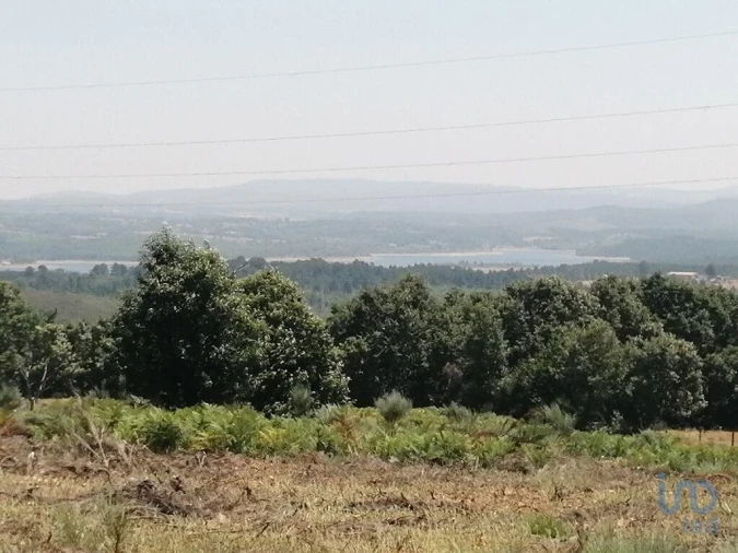 Terreno para Venda em Sabugal e Aldeia de Santo António Foto 5