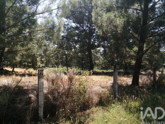 Terreno para Venda em Sabugal e Aldeia de Santo António Foto 16