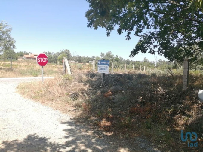 Terreno para Venda em Sabugal e Aldeia de Santo António Foto 4