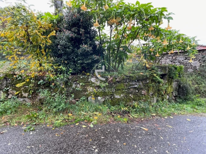 Moradia T2 para Venda em Insalde e Porreiras Foto 3