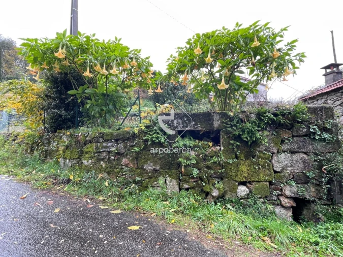 Moradia T2 para Venda em Insalde e Porreiras Foto 4