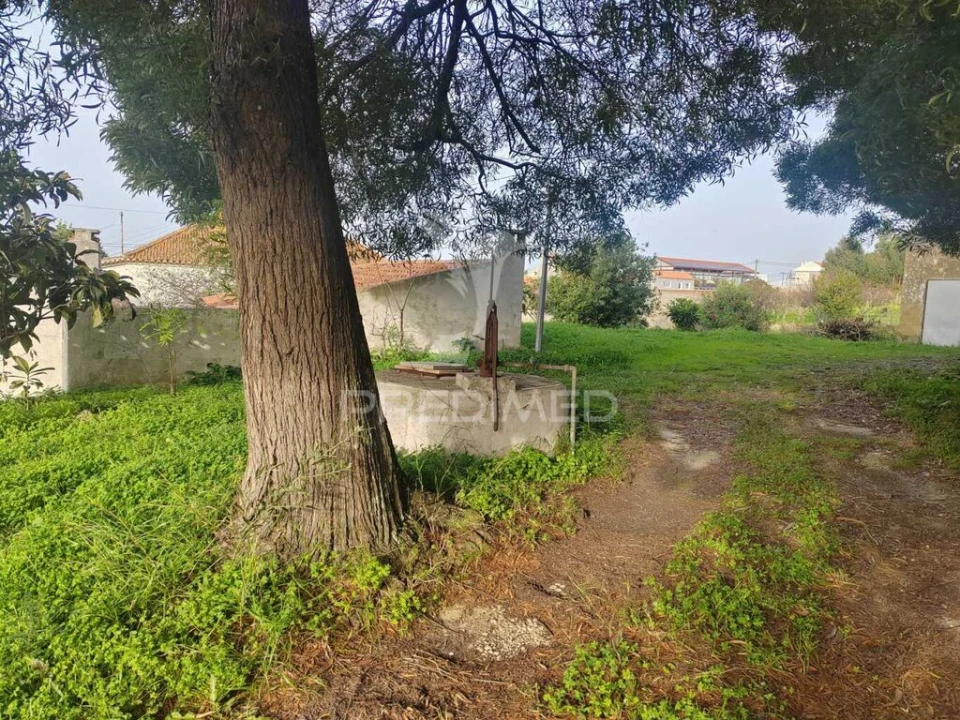 Quinta T3 para Venda em Ramalhal Foto 7