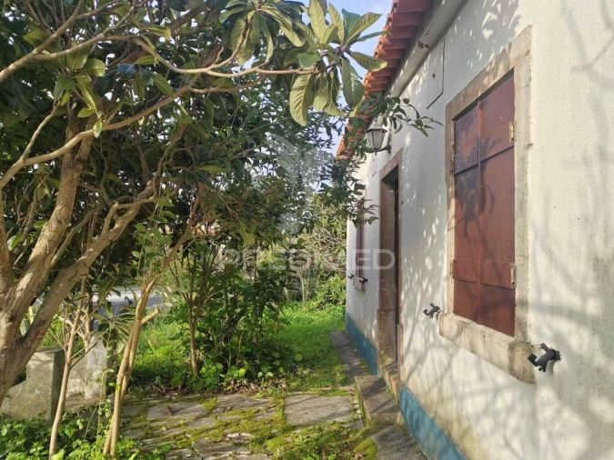 Quinta T3 para Venda em Ramalhal Foto 4