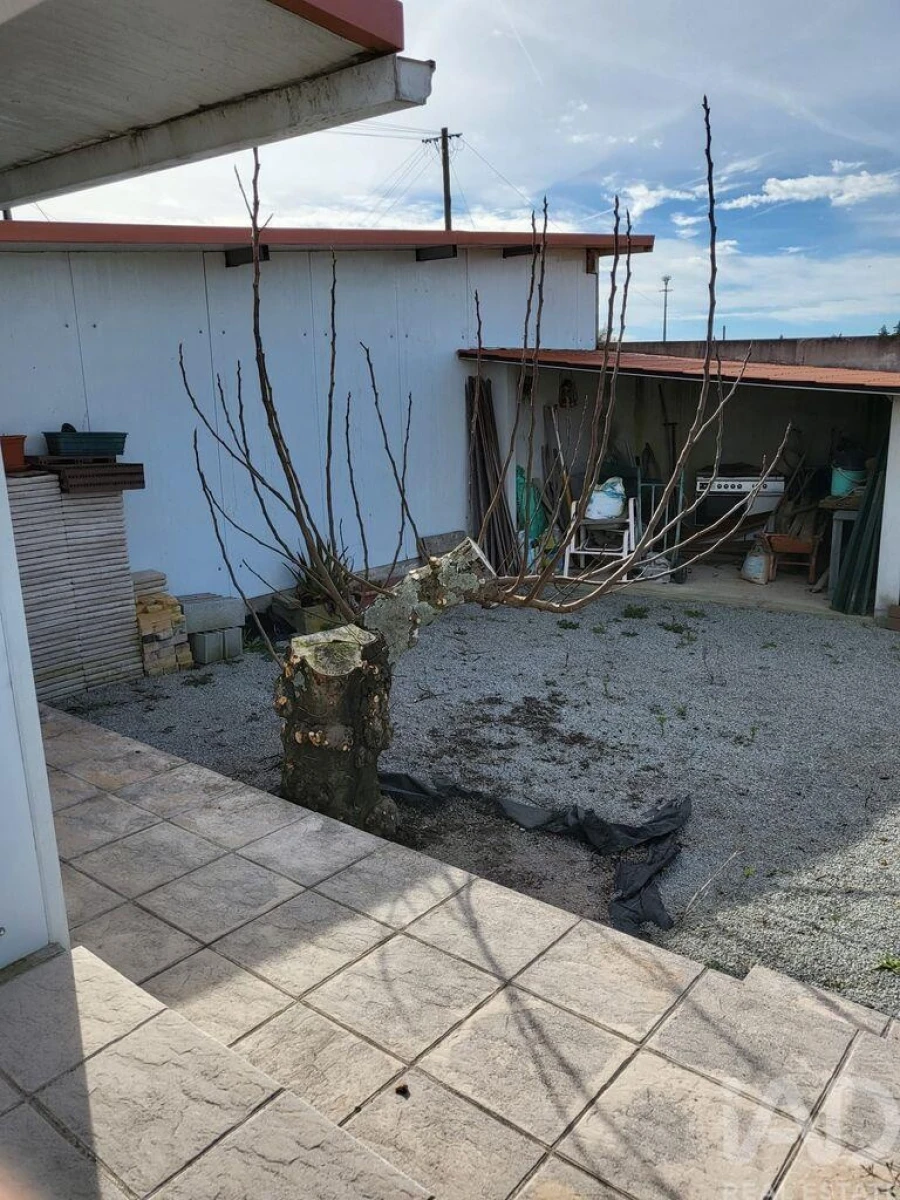 Moradia T5 para Venda em Tourais e Lajes Foto 19