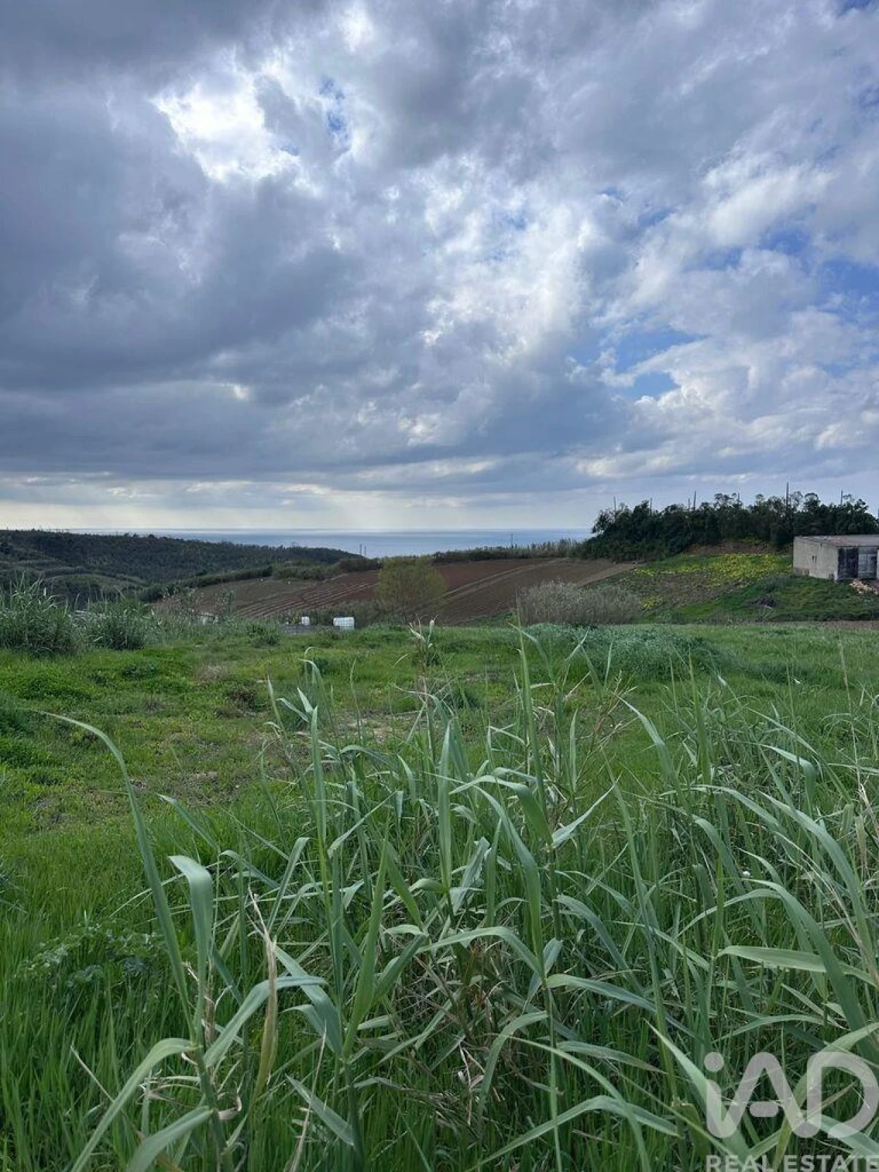 Terreno para Venda em Lourinhã e Atalaia Foto 4