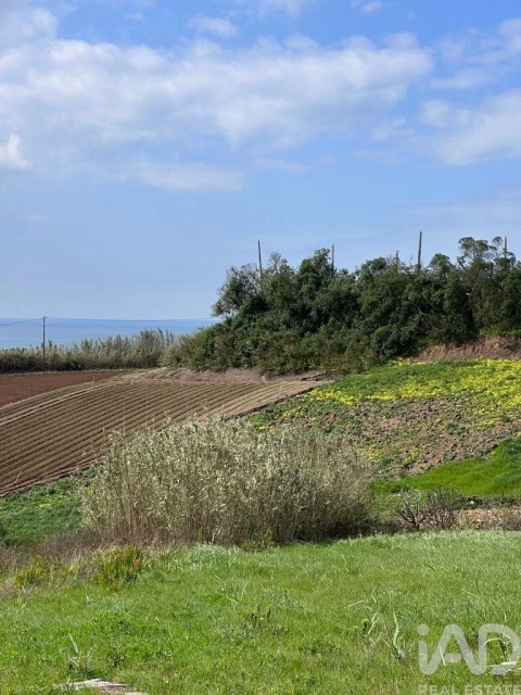 Terreno para Venda em Lourinhã e Atalaia