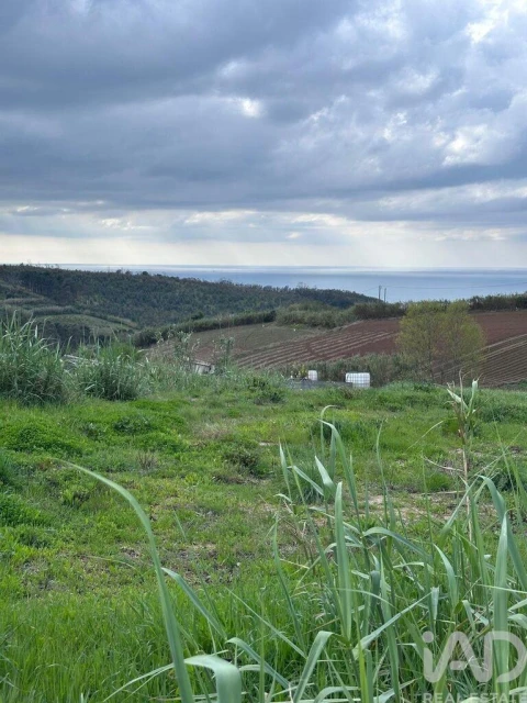 Terreno para Venda em Lourinhã e Atalaia