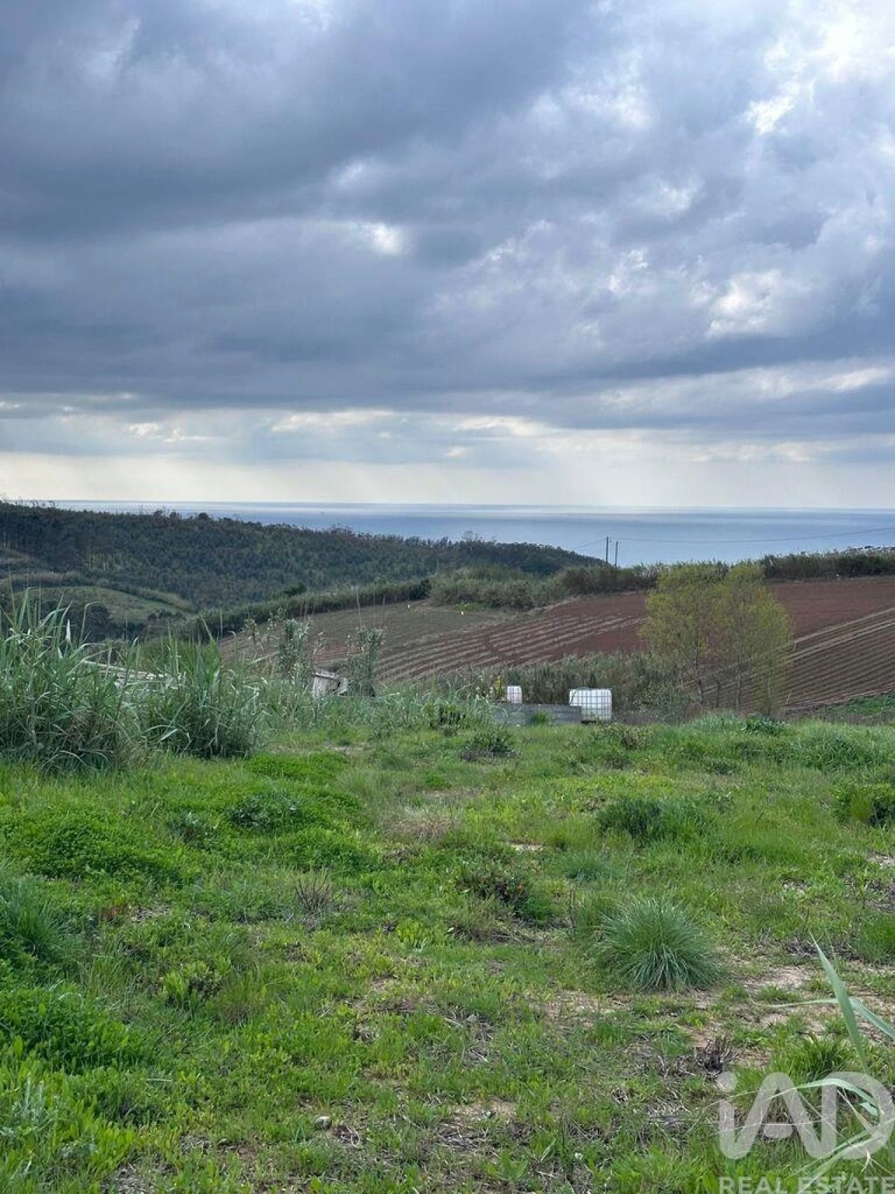 Terreno para Venda em Lourinhã e Atalaia Foto 21