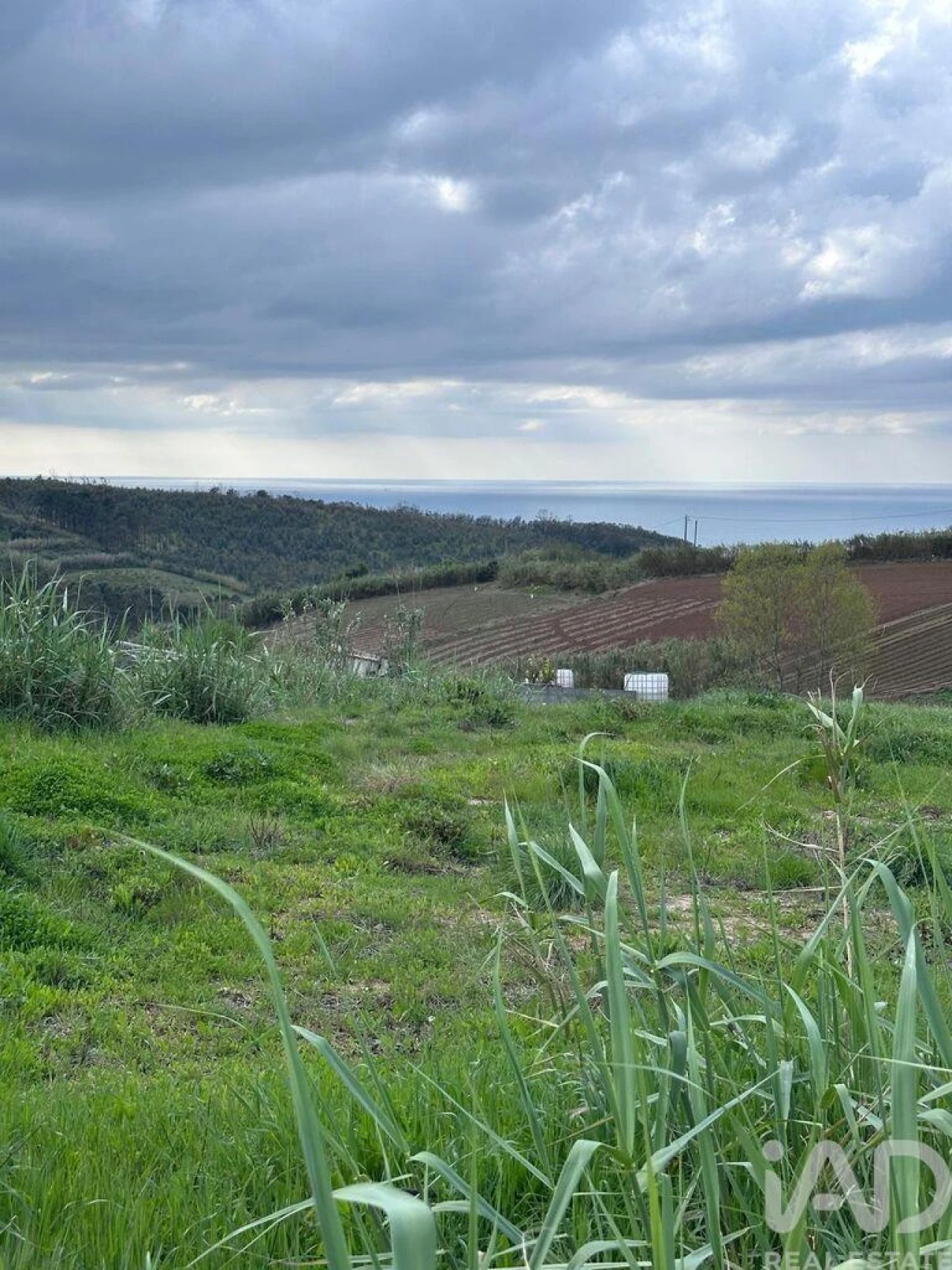 Terreno para Venda em Lourinhã e Atalaia Foto 20
