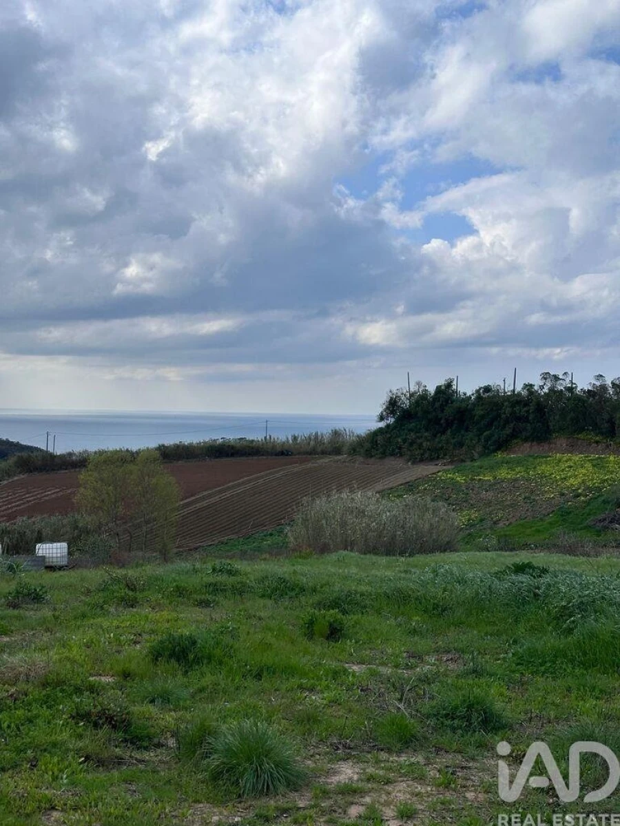 Terreno para Venda em Lourinhã e Atalaia Foto 9