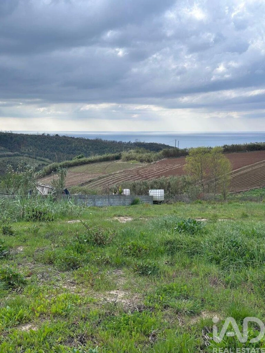 Terreno para Venda em Lourinhã e Atalaia Foto 13