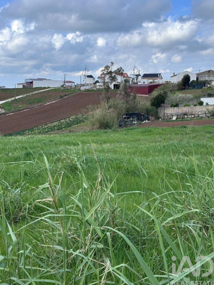 Terreno para Venda em Lourinhã e Atalaia Foto 11