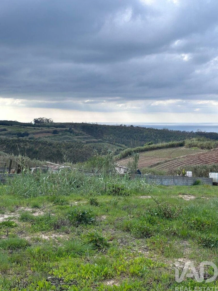 Terreno para Venda em Lourinhã e Atalaia Foto 12