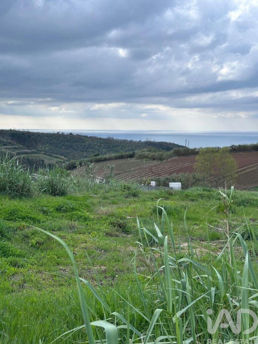 Terreno para Venda em Lourinhã e Atalaia Foto 6