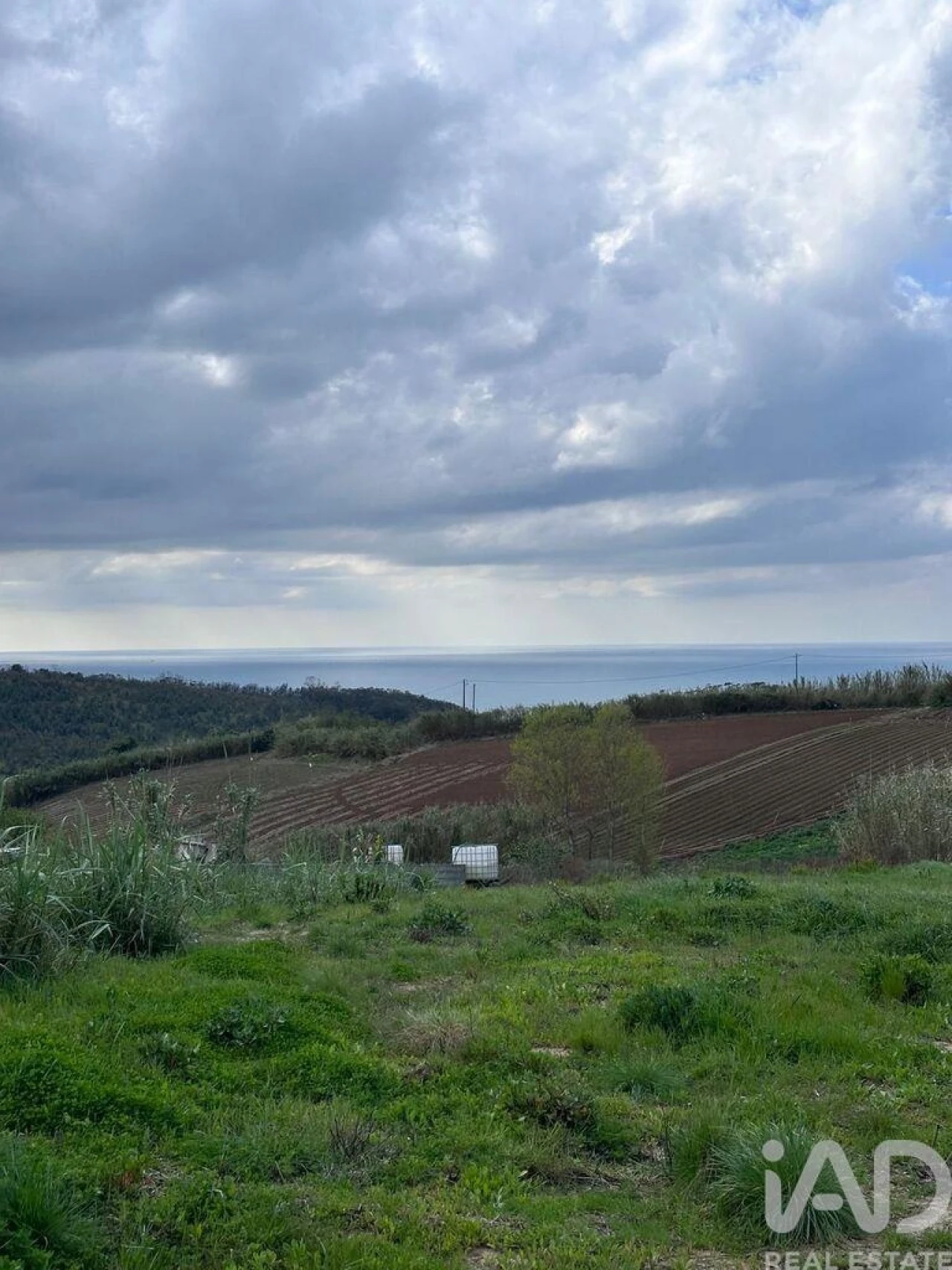 Terreno para Venda em Lourinhã e Atalaia Foto 8