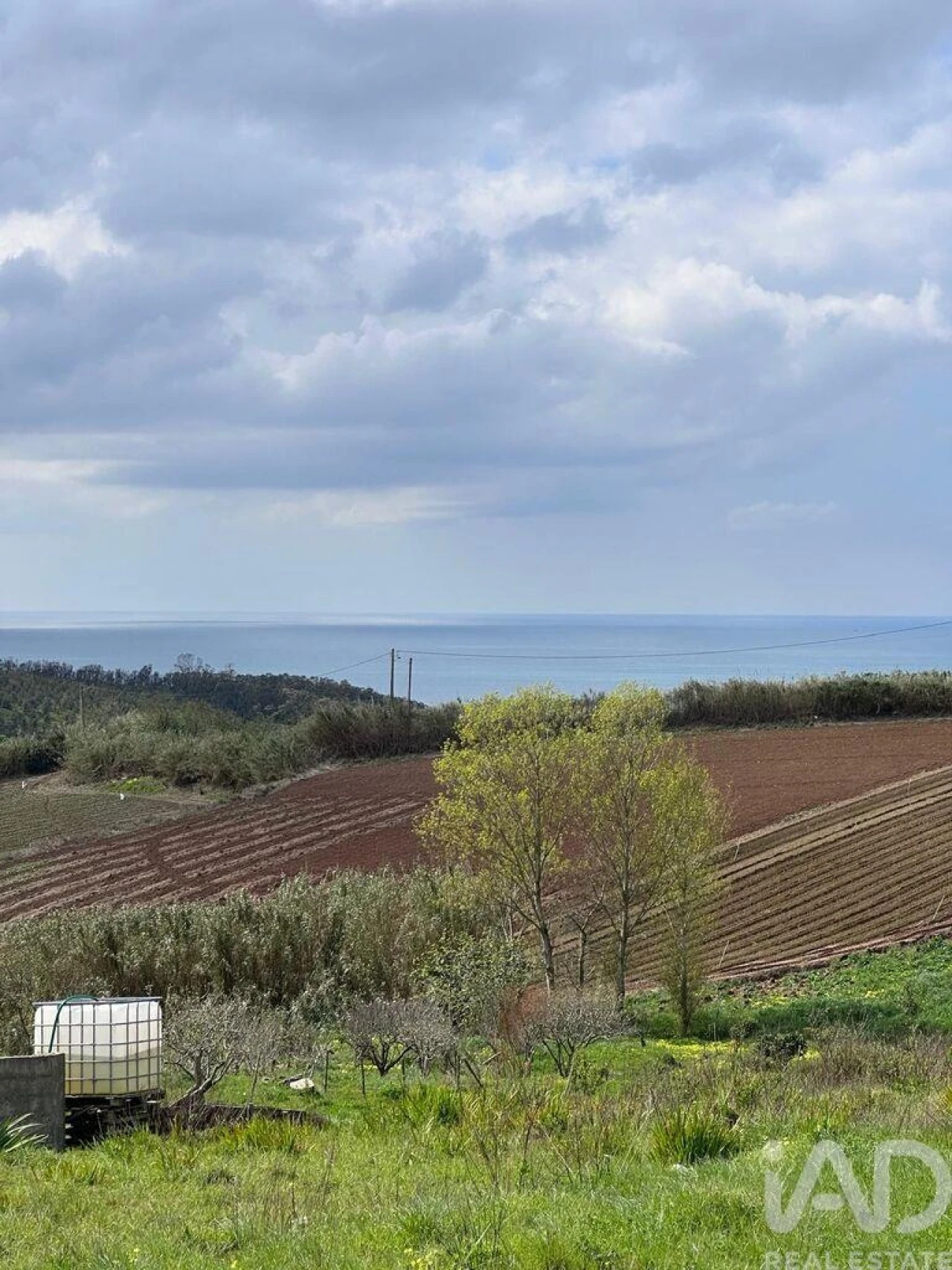 Terreno para Venda em Lourinhã e Atalaia Foto 14
