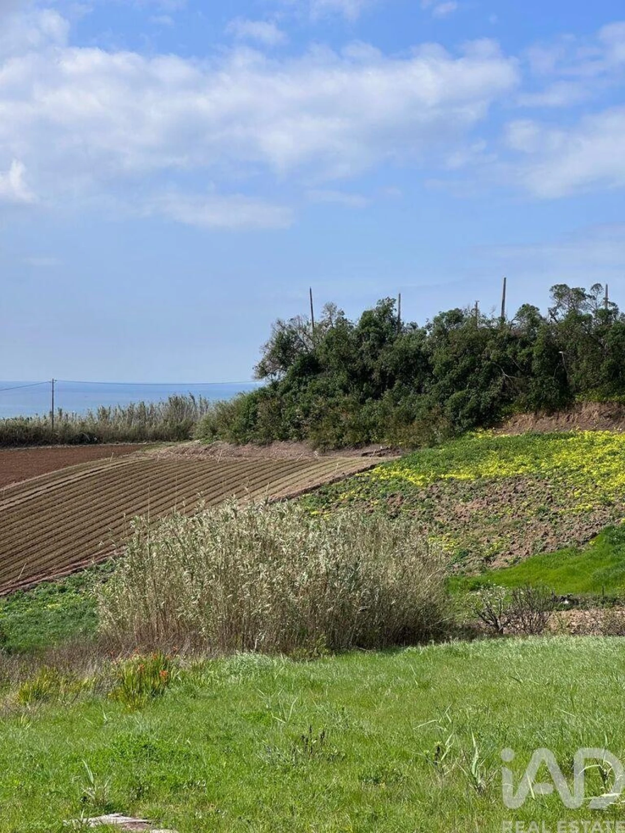 Terreno para Venda em Lourinhã e Atalaia Foto 15
